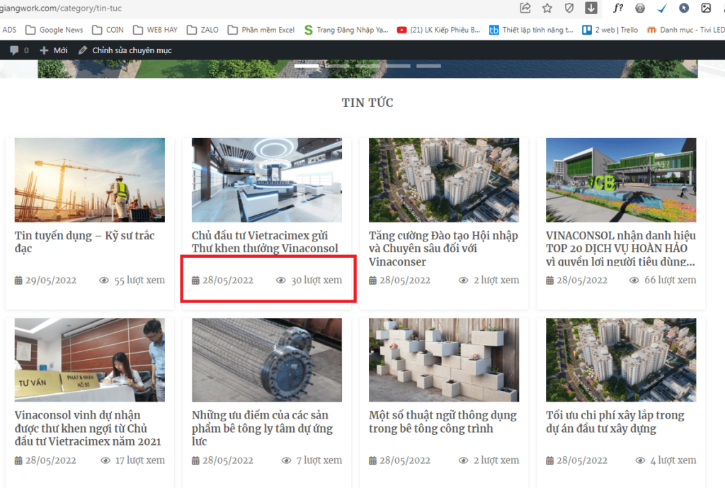 Cách thêm ngày tháng vào Category blog wordpress