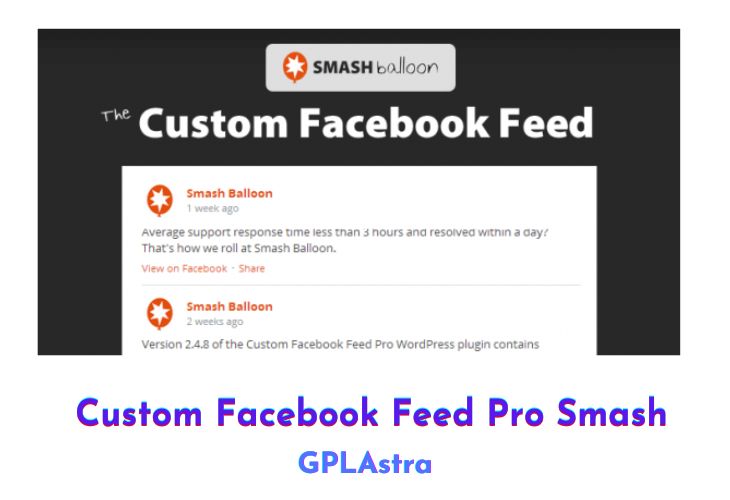 Custom Facebook Feed Pro Smash Free Download