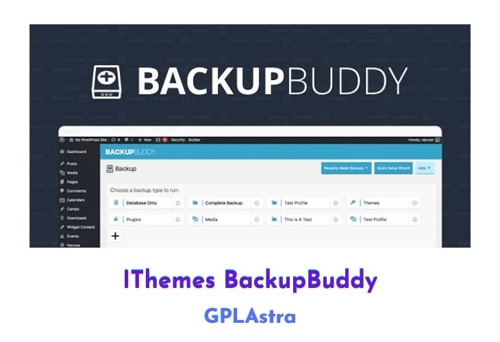 BackupBuddy Free Download