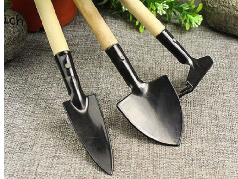 kinh doanh dụng cụ trồng rau sạch