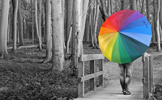 thiết kế website