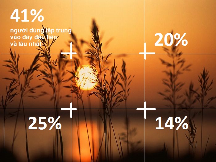 thiết kế website