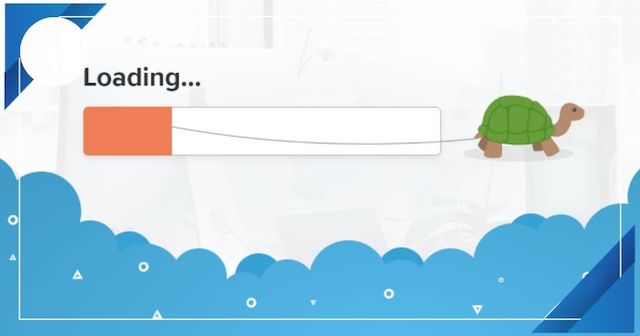 Cá mập cắn cáp 2022