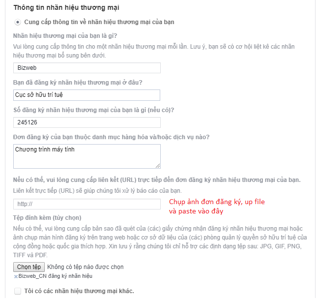 report facebook giả mạo