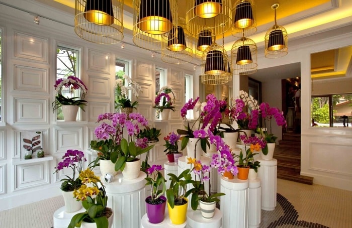 cach-trang-tri-shop-hoa-tuoi-1-min thiết kế shop hoa tươi