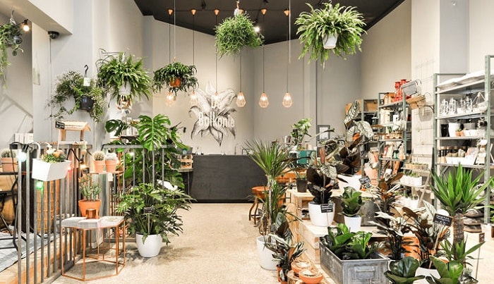 cach-trang-tri-shop-hoa-tuoi-5-min thiết kế shop hoa tươi