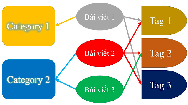 Sự khác nhau giữa tag và category là gì?