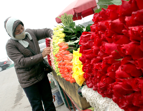 cham-soc-hoa-tuoi-1-1