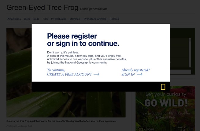 content marketing thân thiện di động 6