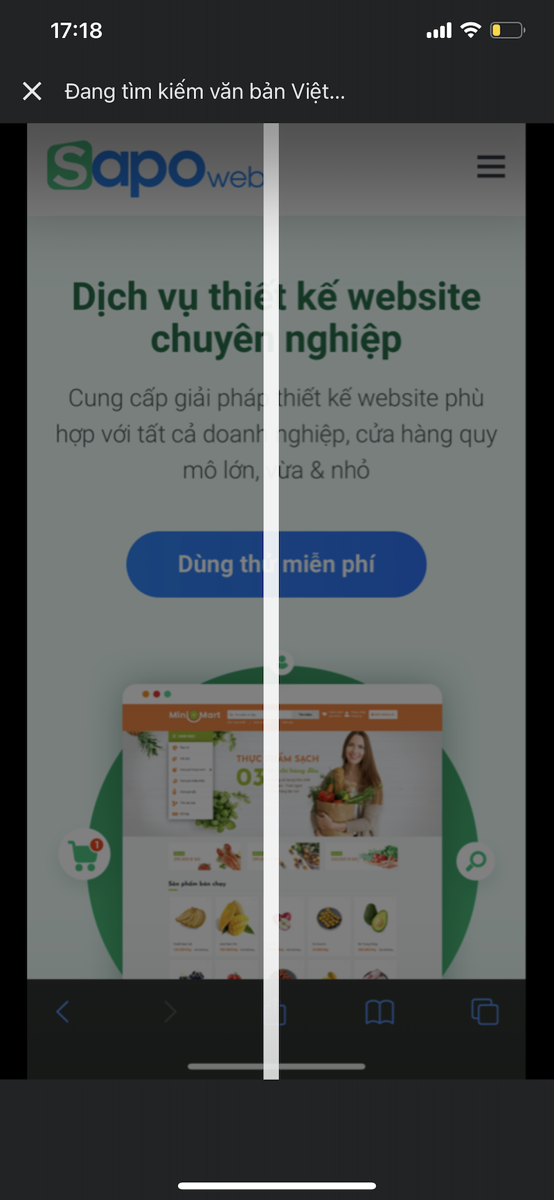google dịch hình ảnh trên web