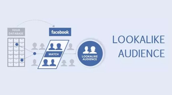 lookalike facebook audience