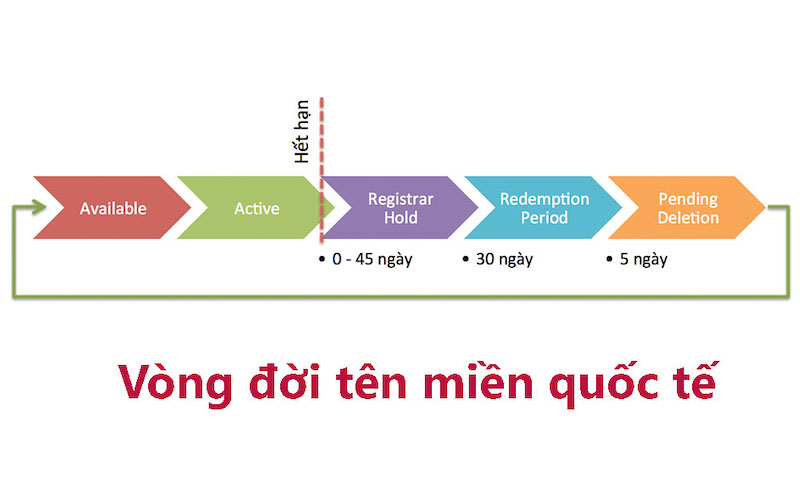 Vòng đời của tên miền