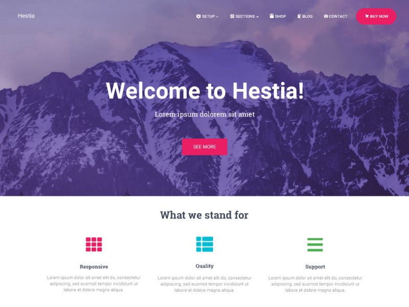 Hestia là một chủ đề đa năng phù hợp với nhiều loại trang web