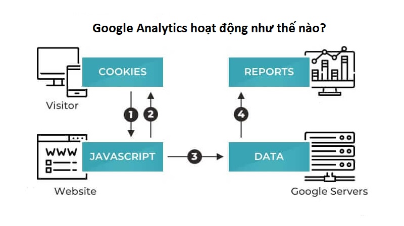 google-analytic-hoat-dong-nhu-the-nao-1