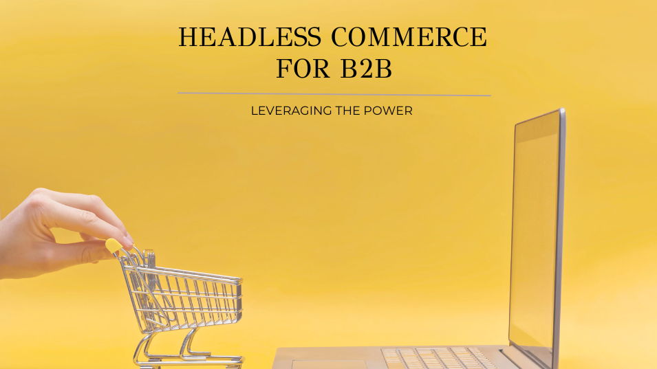 headless-commerce-b2b-1-1 thương mại không đầu b2b