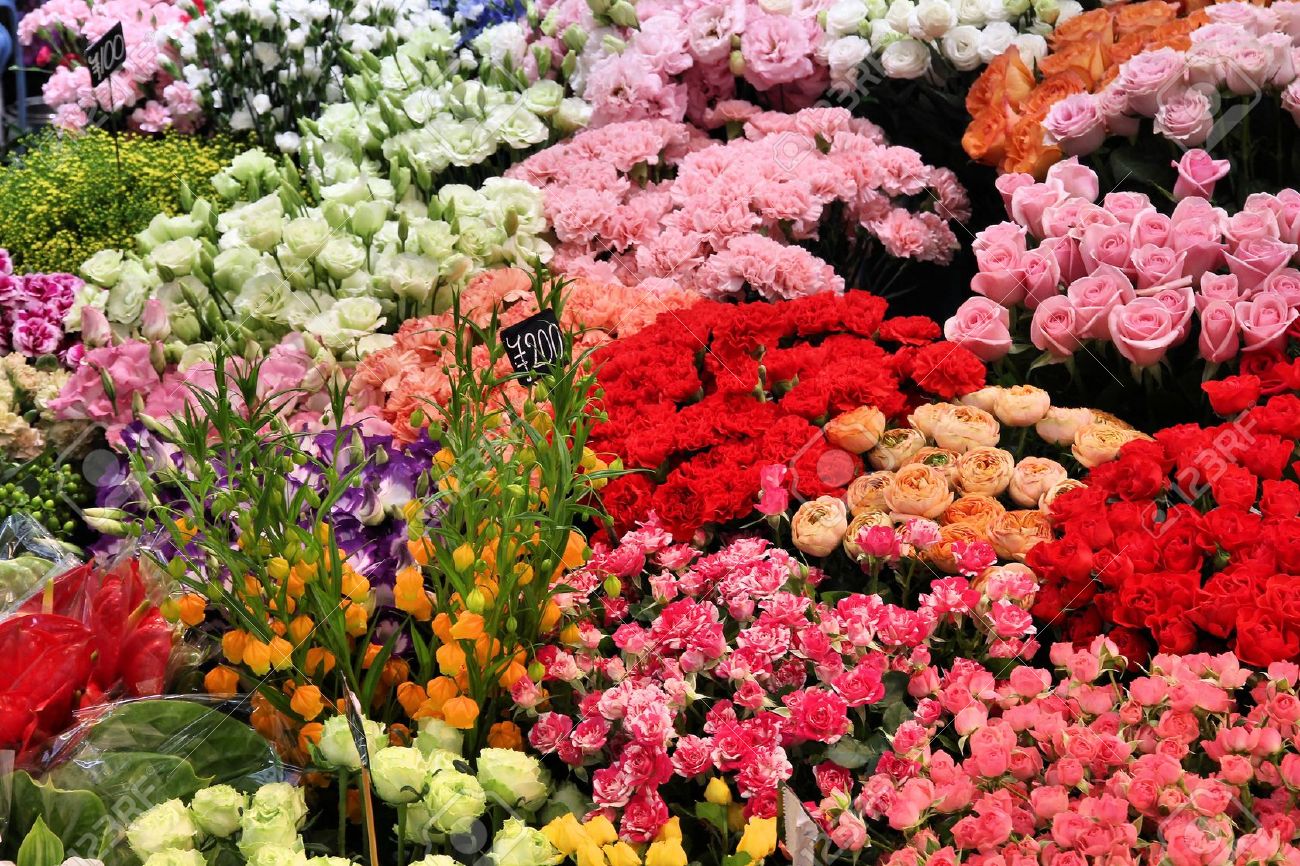 hoa-tuoi-6 hoa tươi