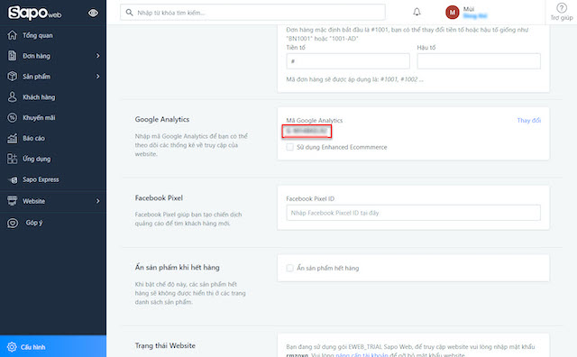 Google Analytics trên Sapo Web?