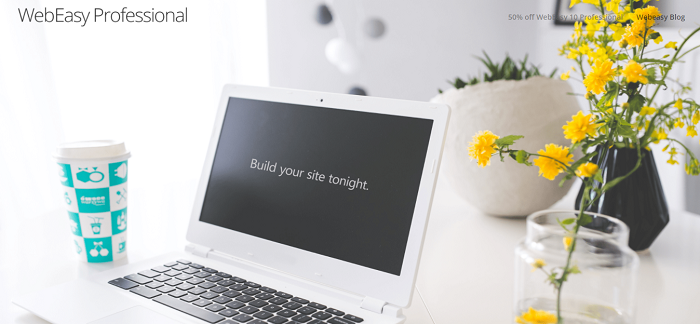 WebEasy Professional