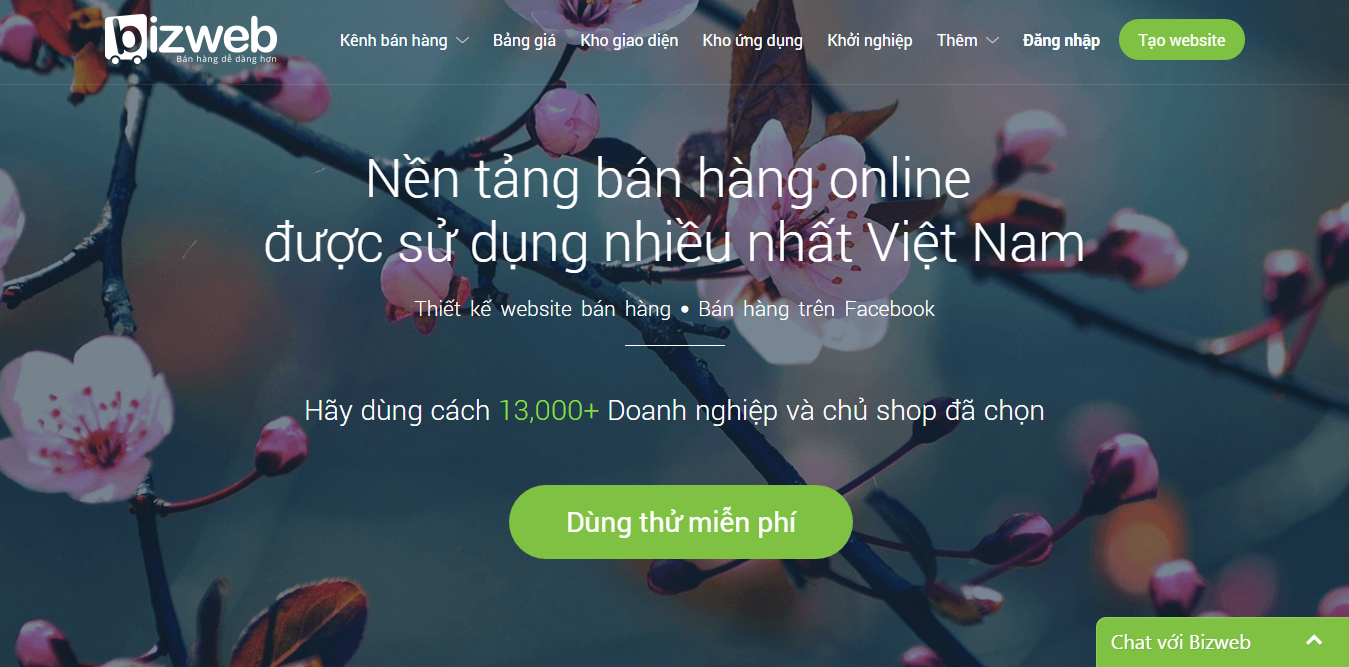 thiết kế website Vĩnh Long