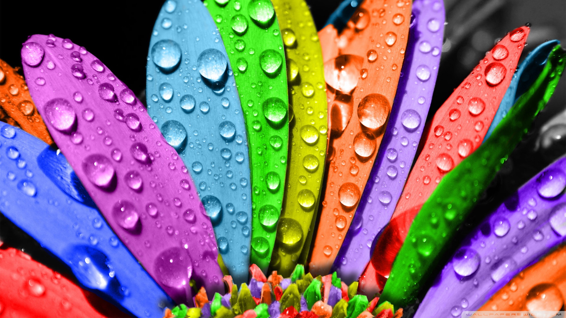 quan-ly-fanpage-facebook-3