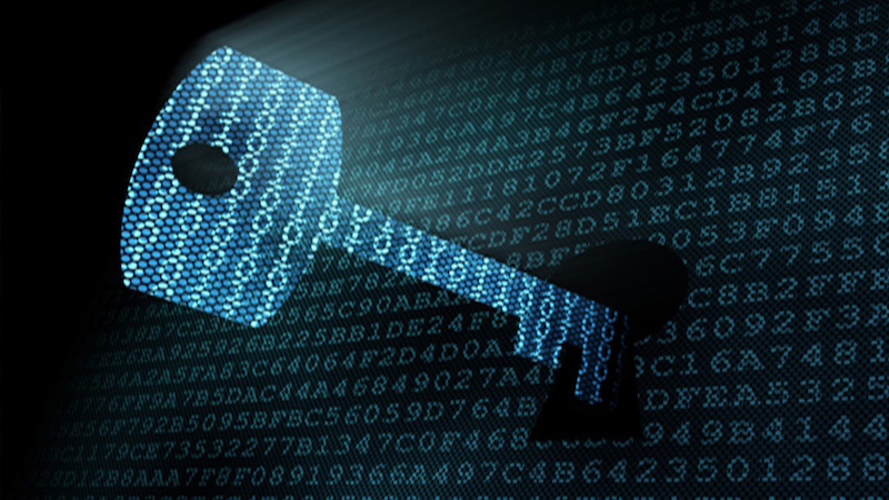 Mã hoá những dữ liệu quan trọng trên website