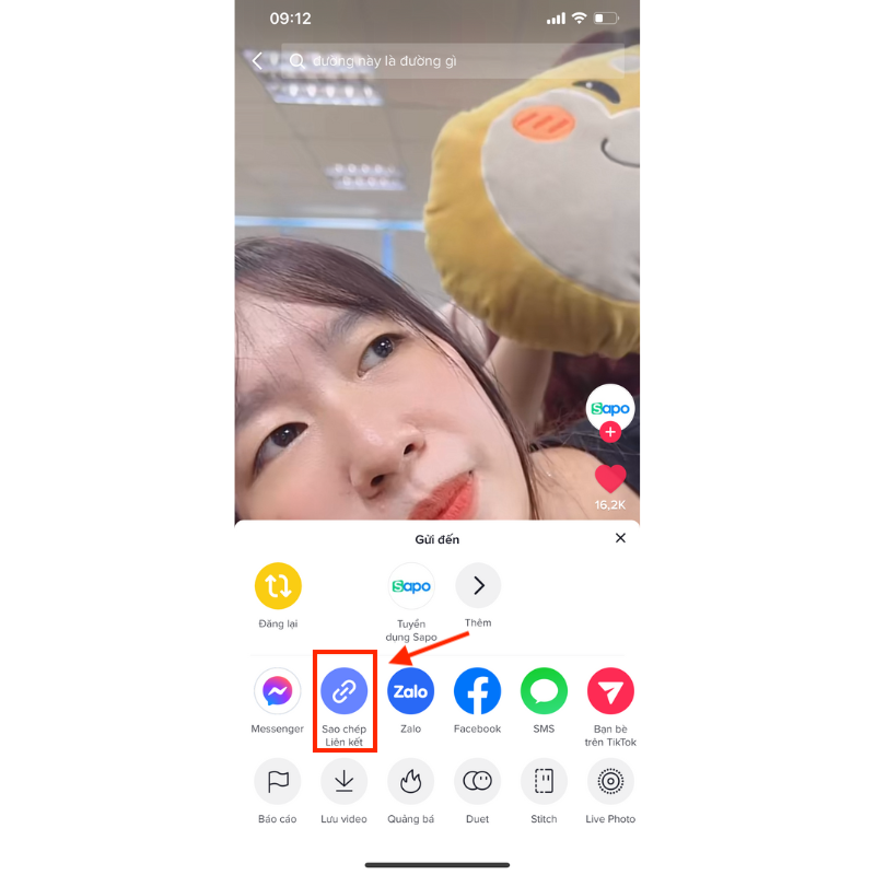 Tải video Tik Tok không logo bằng SnapTik