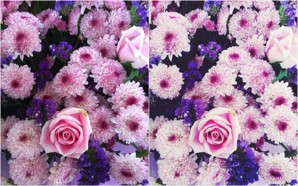 Sử dụng ứng dụng chỉnh ảnh để tăng follower trên Instagram