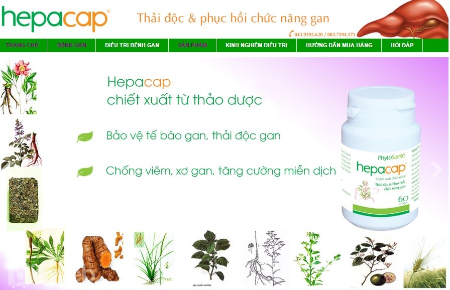 Sử dụng hình ảnh sản phẩm chính trên trang chủ website