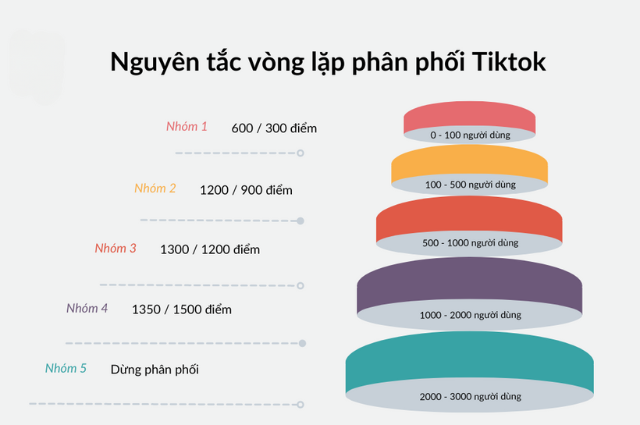 quy-tac-phan-phoi-noi-dung-video-viral-bang-thuat-toan-tiktok-2023