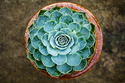 Thu hút khách hàng với hình ảnh đẹp và nội dung quảng cáo sáng tạo Thu hút khách hàng với hình ảnh đẹp và nội dung quảng cáo sáng tạo