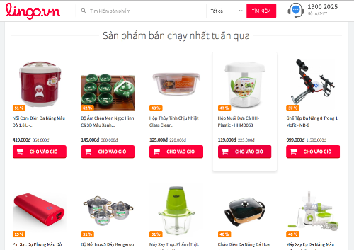 trang-thuong-mai-dien-tu-lingo-bat-ngo-dong-cua-1-1 trang-thuong-mai-dien-tu-lingo-bat-ngo-dong-cua-1