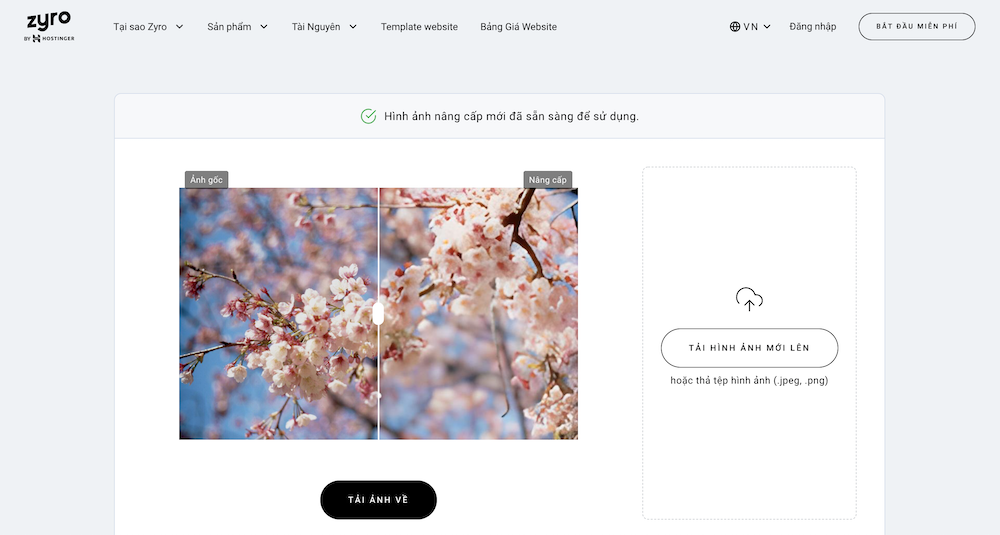 Website làm nét ảnh Zyro.com