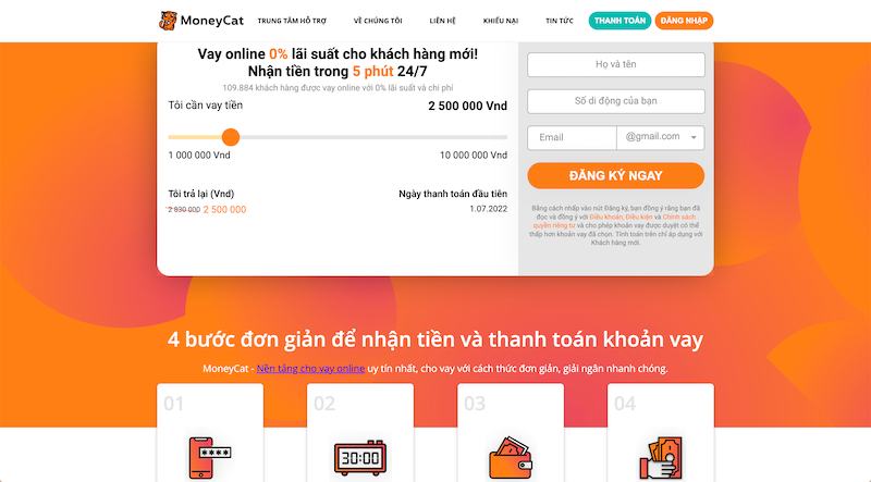 Web vay tiền online Money Cat