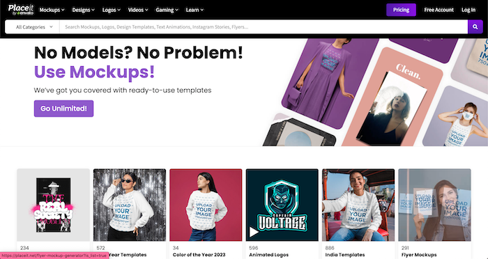Website mockup Placeit