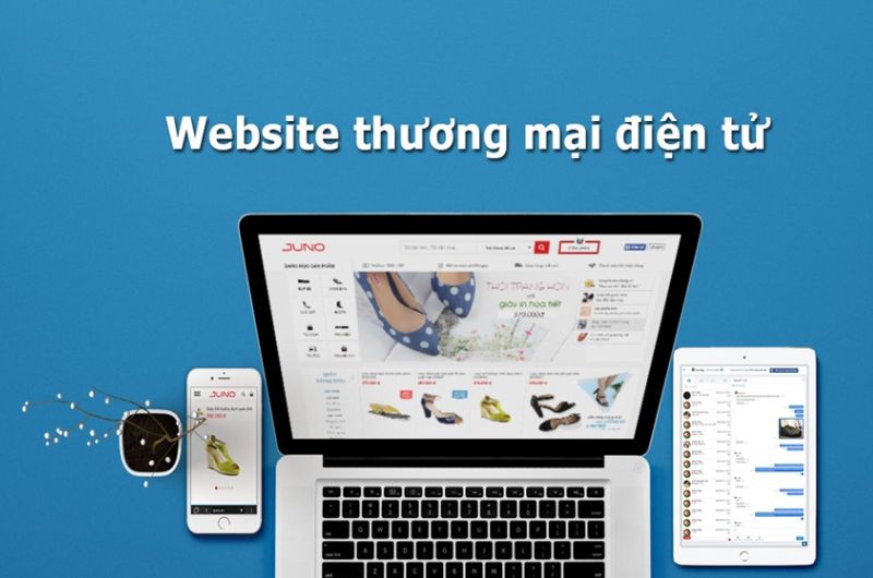 Các loại website thương mại điện tử