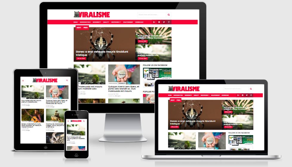 thiết kế web du lịch